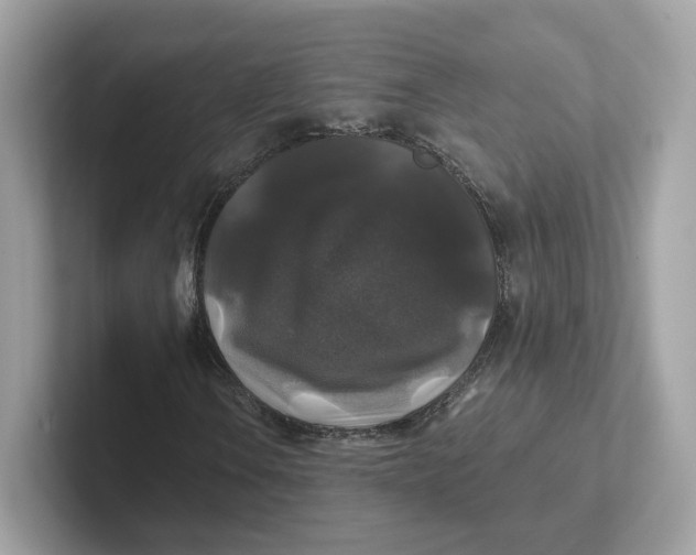 X0000101451106200807280934