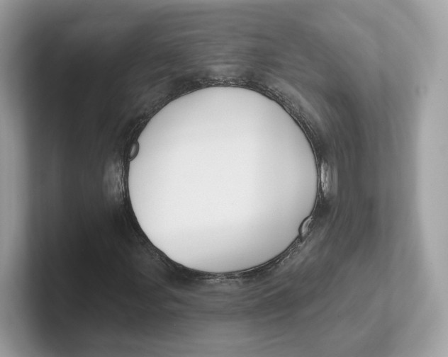 X0000101451107200807280934