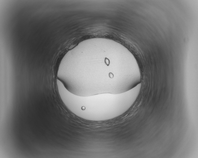 X0000101451108200807280934