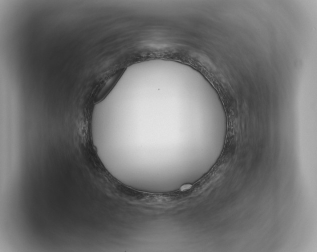 X0000101451109200807280934