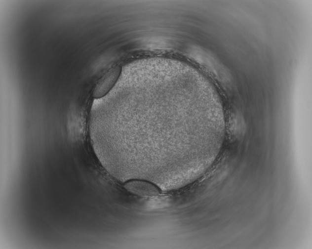 X0000101451110200807280934