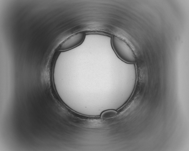 X0000101451114200807280934