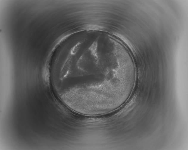 X0000101451115200807280934