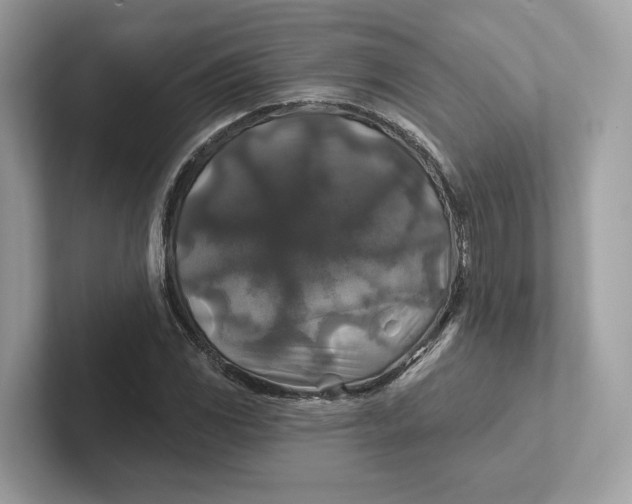 X0000101451117200807280934