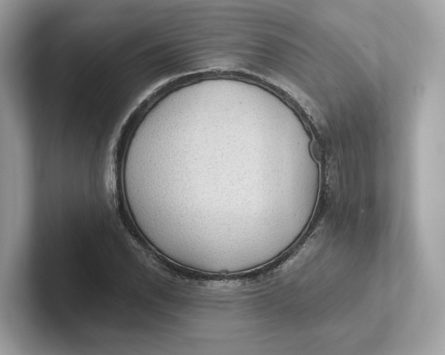 X0000101451118200807280934