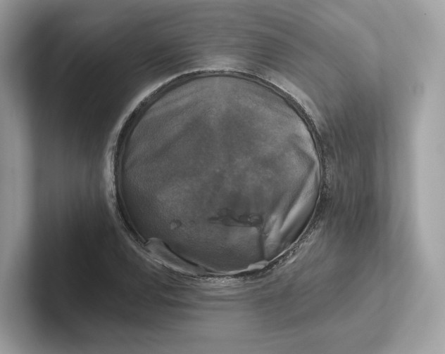 X0000101451120200807280934