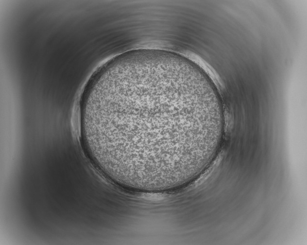 X0000101451123200807280934