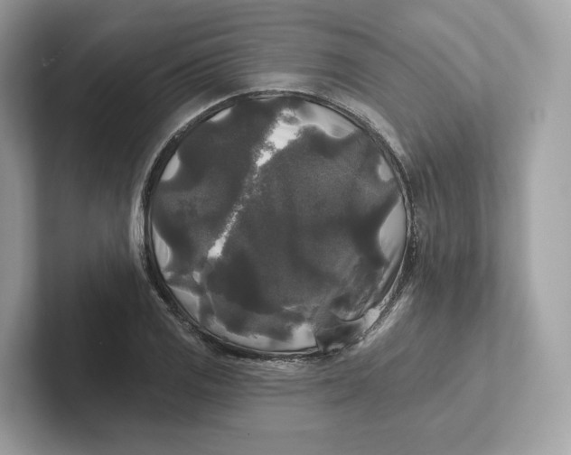 X0000101451125200807280934