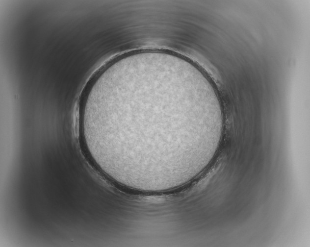 X0000101451126200807280934