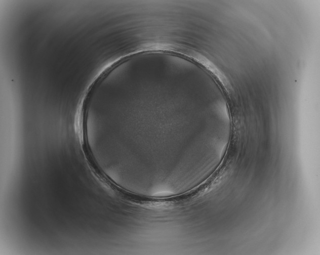 X0000101451127200807280934