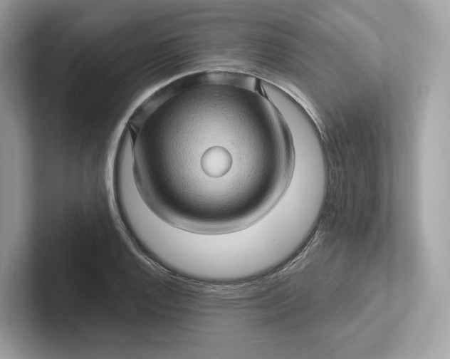 X0000101451128200807280934