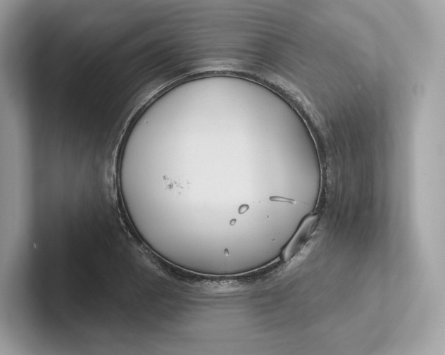 X0000101451129200807280934