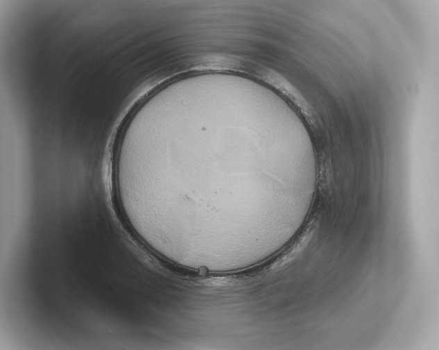 X0000101451130200807280934