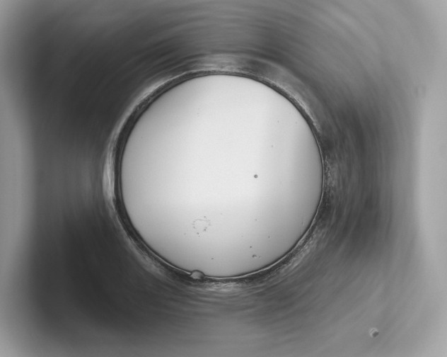 X0000101451131200807280934