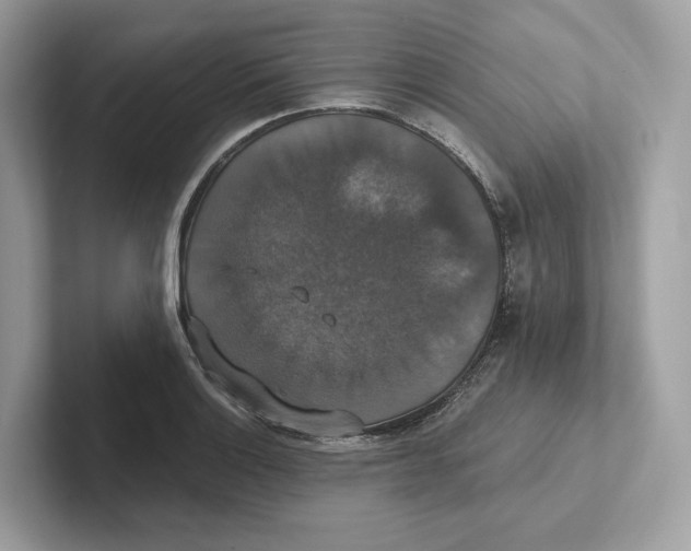 X0000101451132200807280934