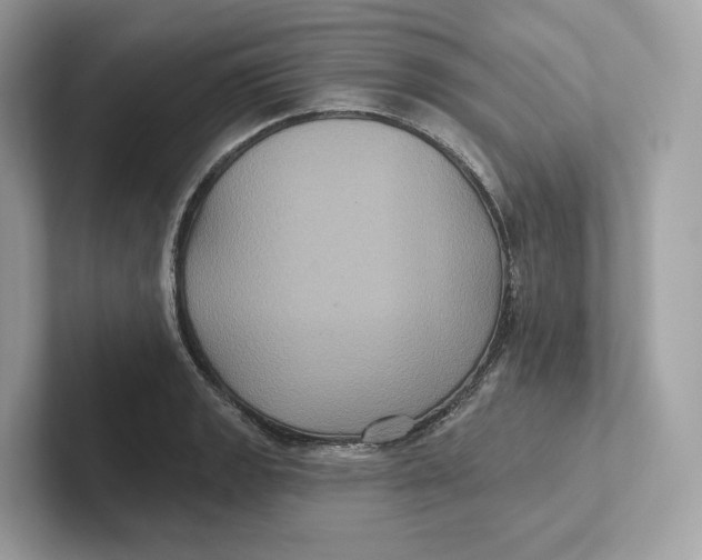 X0000101451133200807280934