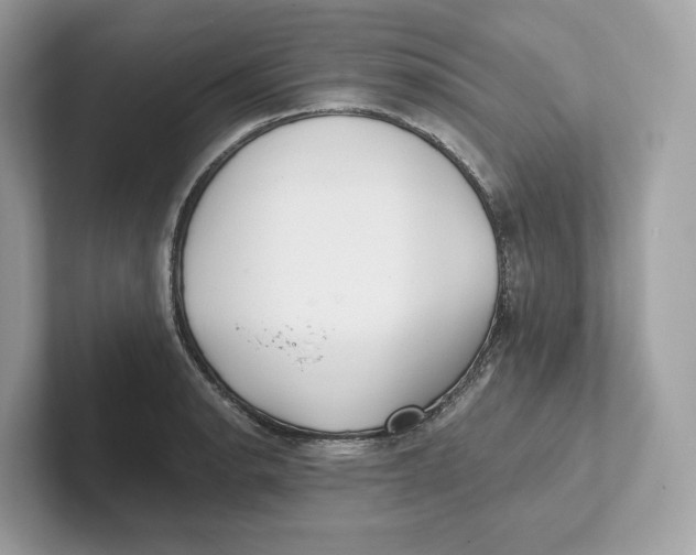 X0000101451134200807280934