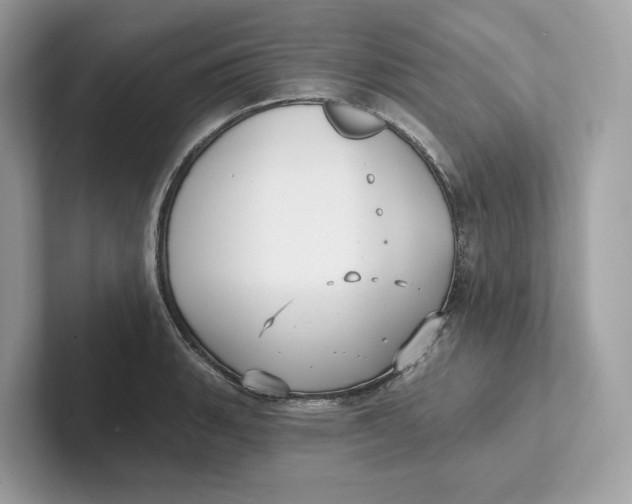 X0000101451135200807280934