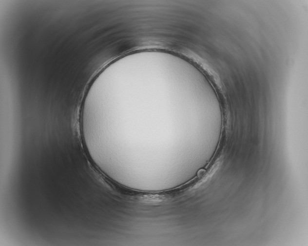 X0000101451137200807280934