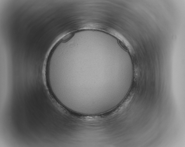 X0000101451138200807280934