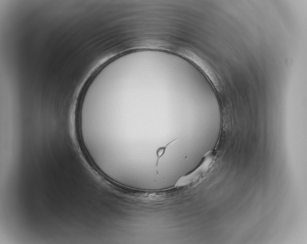 X0000101451139200807280934