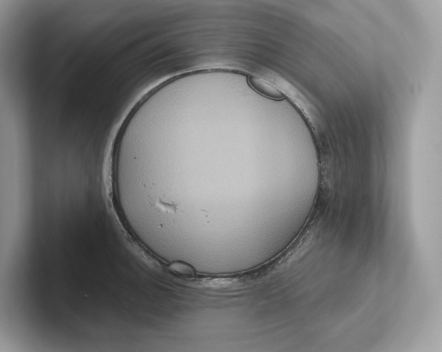 X0000101451140200807280934