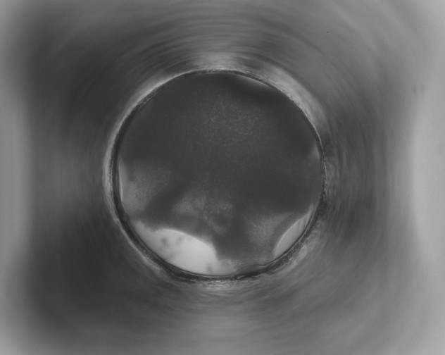 X0000101451141200807280934