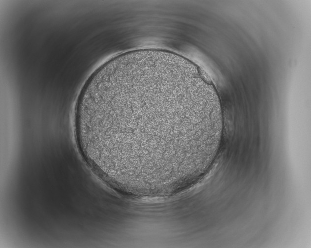 X0000101451142200807280934