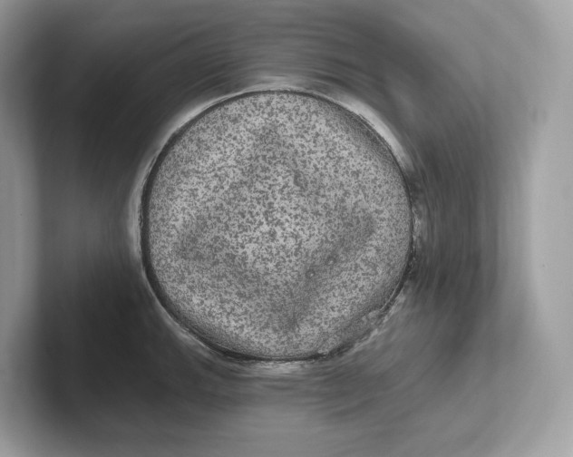 X0000101451143200807280934