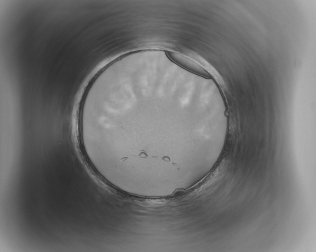 X0000101451144200807280934