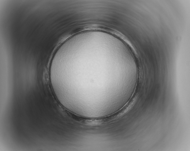 X0000101451145200807280934