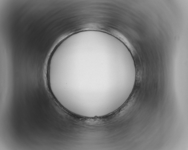 X0000101451146200807280934