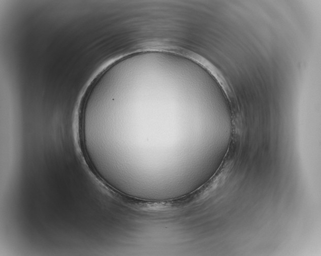 X0000101451147200807280934