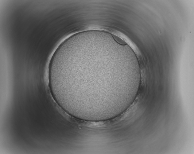 X0000101451148200807280934