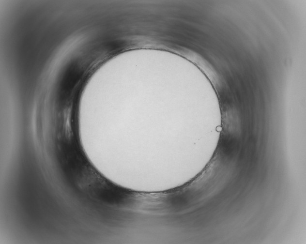 X0000101451150200807280934