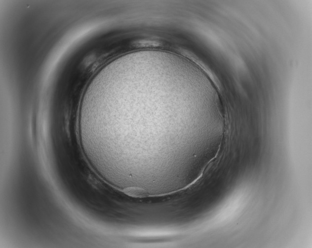 X0000101451151200807280934