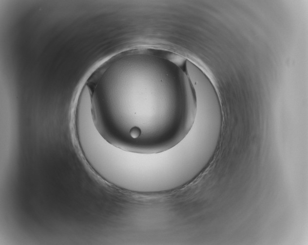 X0000101451152200807280934