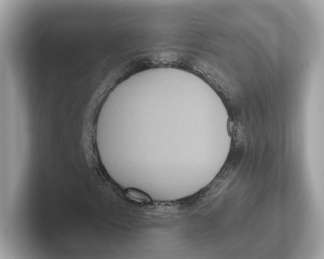 X0000101451153200807280934