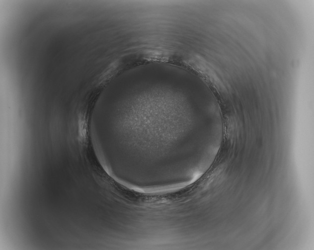 X0000101451154200807280934