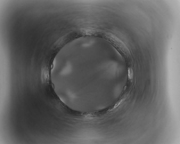 X0000101451155200807280934