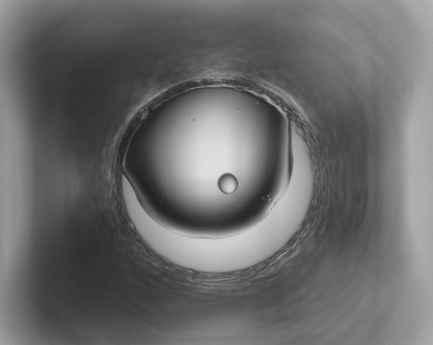 X0000101451160200807280933