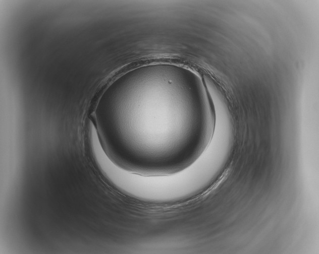 X0000101451161200807280933