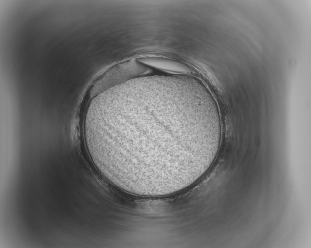 X0000101451164200807280933