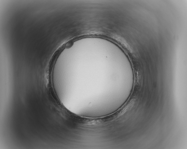 X0000101451165200807280933