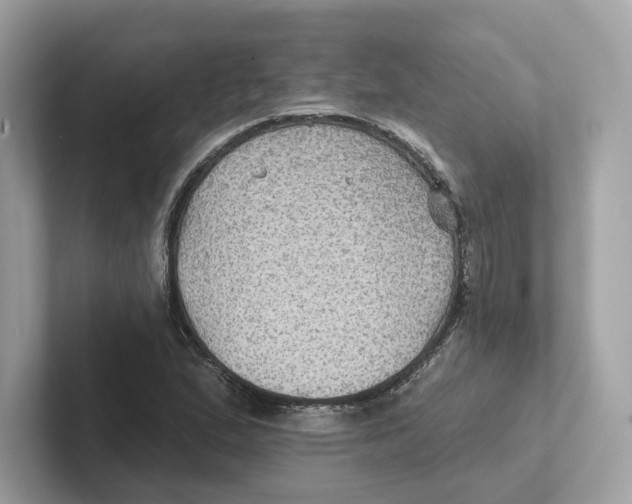 X0000101451167200807280933