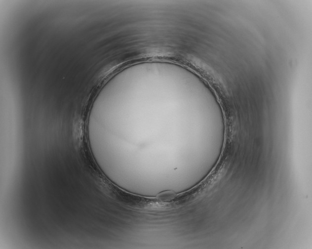 X0000101451169200807280933