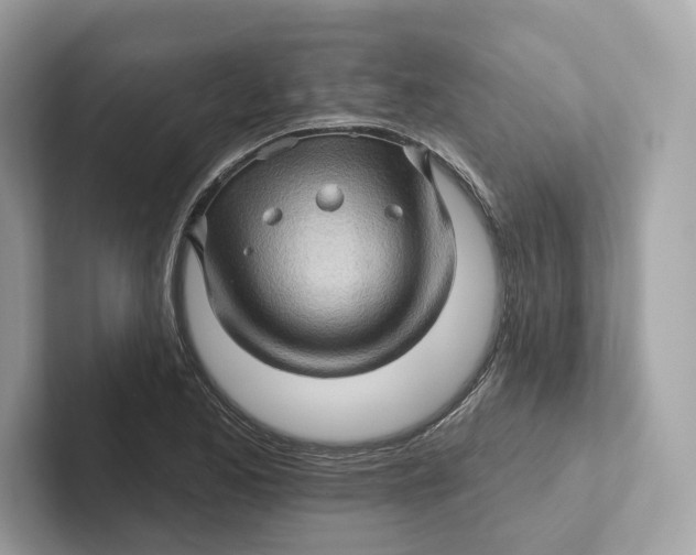 X0000101451173200807280933