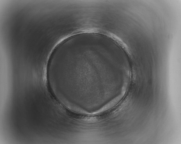 X0000101451174200807280933