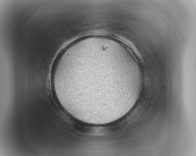 X0000101451176200807280933