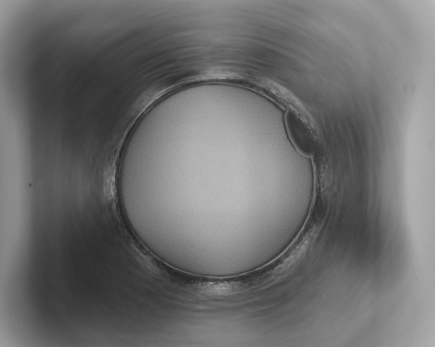 X0000101451177200807280933